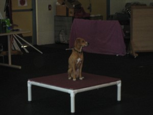 Grace on Pause Table