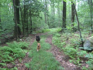 Grace out in front of Mya