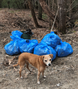 Purpose-driven project with my dog