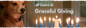 Graceful Giving 2018