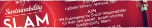 business-for-social-responsibility-sustainability-slam