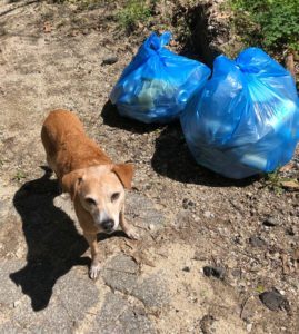Purpose driven cleanup project