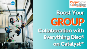 Everything DiSC on Catalyst Groups