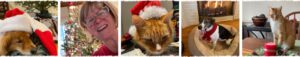Unwrapping Holiday Wisdom - PeopleSense Consulting